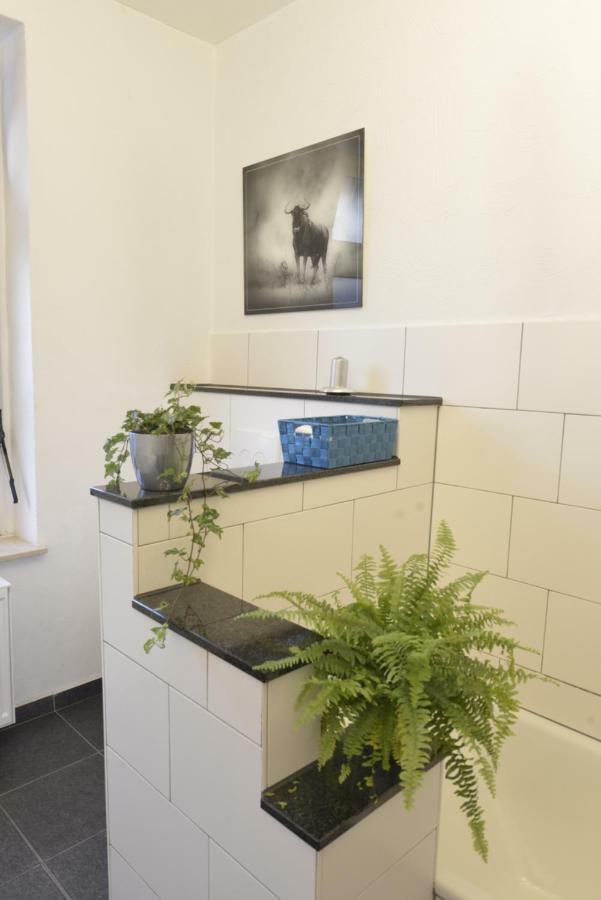 Kaiserliche Hofpost, Mit Whirlpool Und 2 Terrassen 施莱登 外观 照片